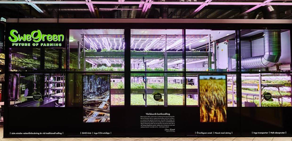 supermercato svezia coltivazione idroponica