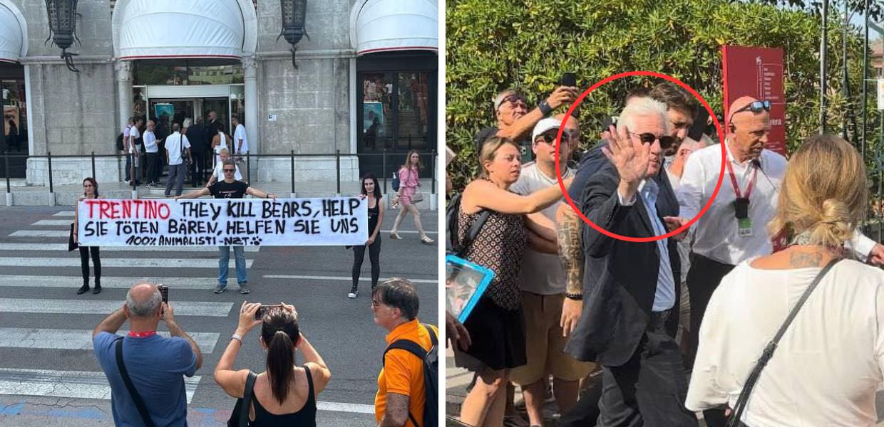 Orsi in Trentino, protesta alla Mostra del Cinema di Venezia. E Richard Gere approva