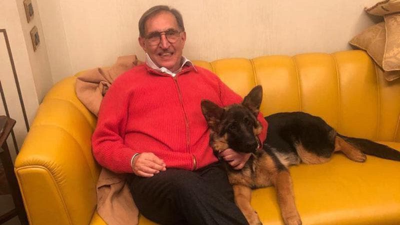 Cani e gatti in Senato. Ignazio La Russa dice sì