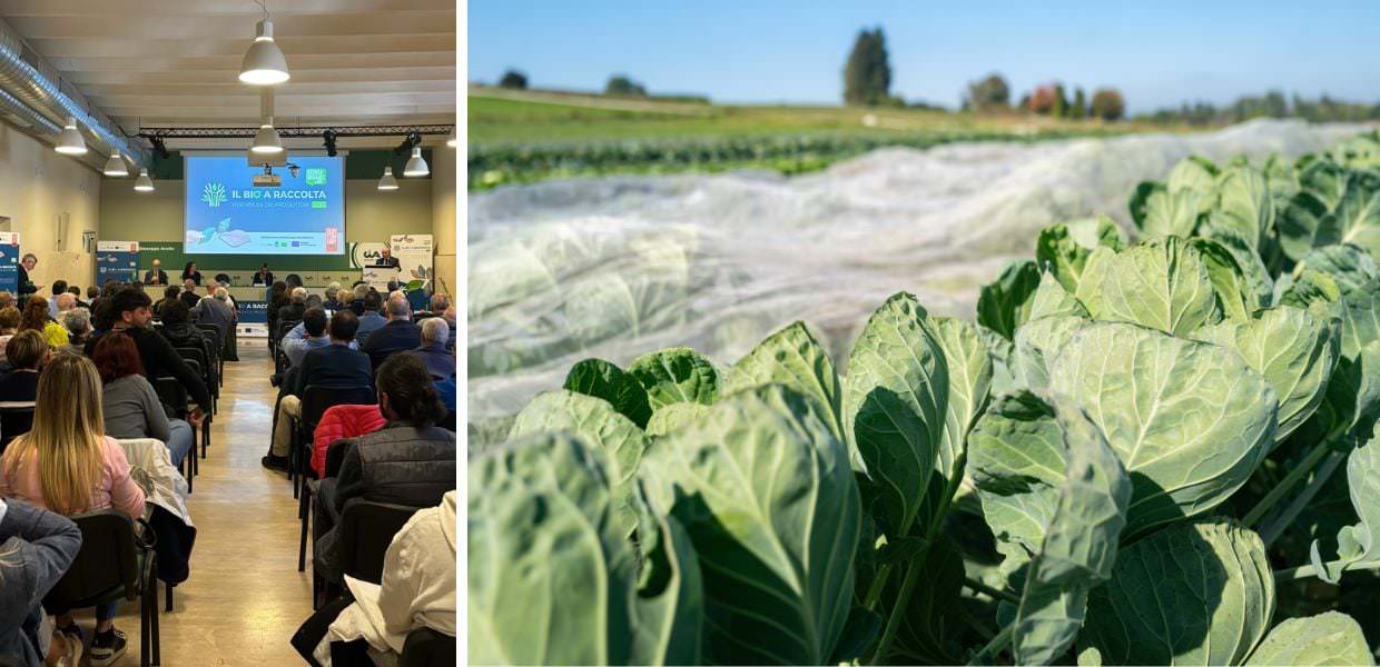 Assemblea dei produttori al bio servono un giusto prezzo e meno burocrazia