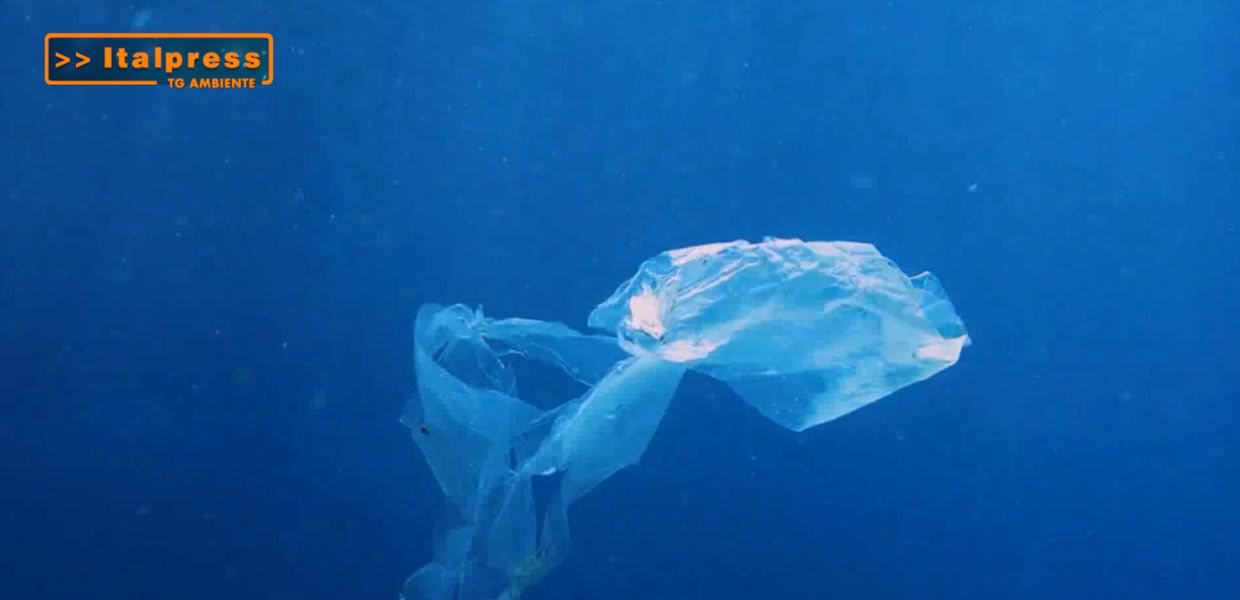 Plastica galleggiante nell'oceano, un esempio di inquinamento marino che minaccia la fauna e il cambiamento climatico. Foto da Tg Ambiente.
