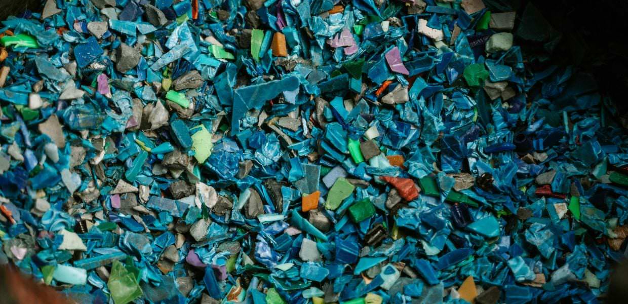 Microplastiche nel cervello