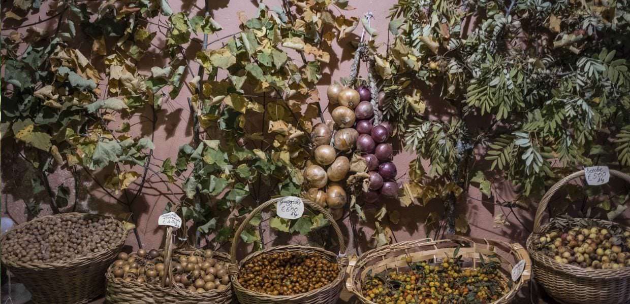 Umbria, a Montone (Pg) al via la 40° edizione della Festa del Bosco