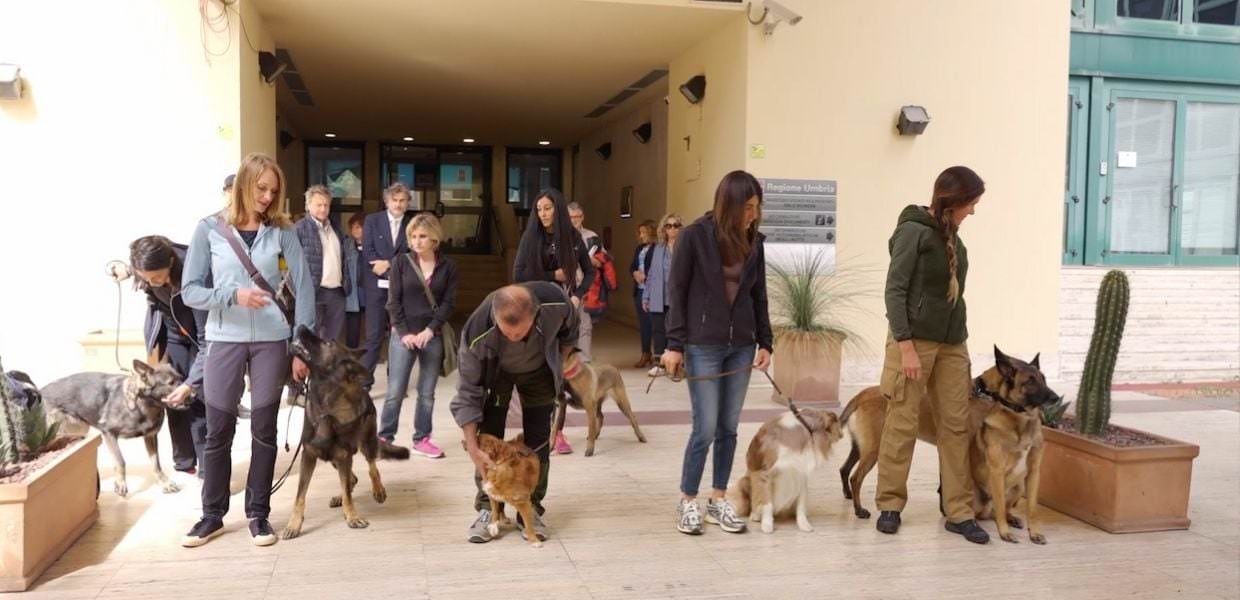 Umbria, task force di cani antiveleno