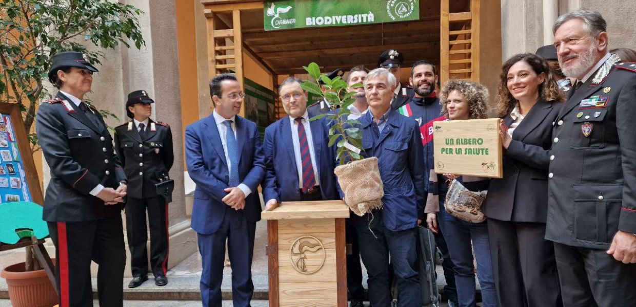 Testo alternativo: Rappresentanti del progetto 'Un albero per la salute' inaugurano un'iniziativa per ospedali green con un alberello simbolico.