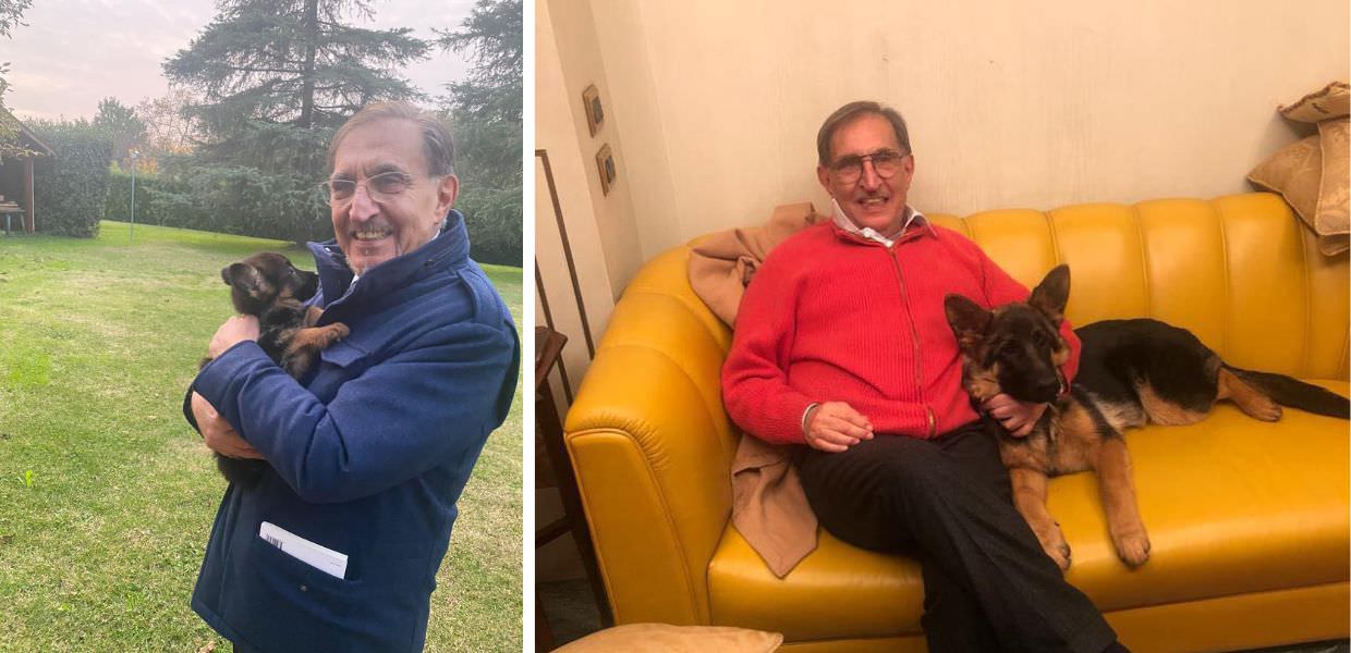 cani senato ignazio la russa