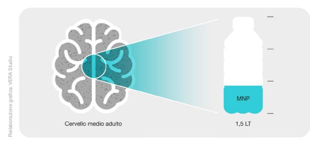 cervello microplastiche