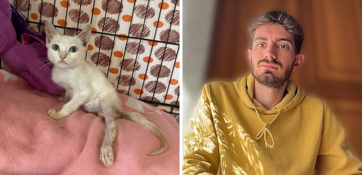 Gatti, alla scoperta de "La Casa di Pollicino". Il fondatore: "Così salvo i mici"