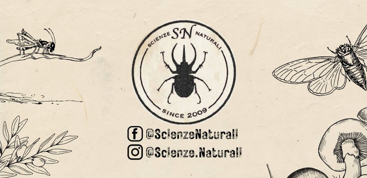 "Le pillole di Scienze Naturali" - Un carro funebre vivente