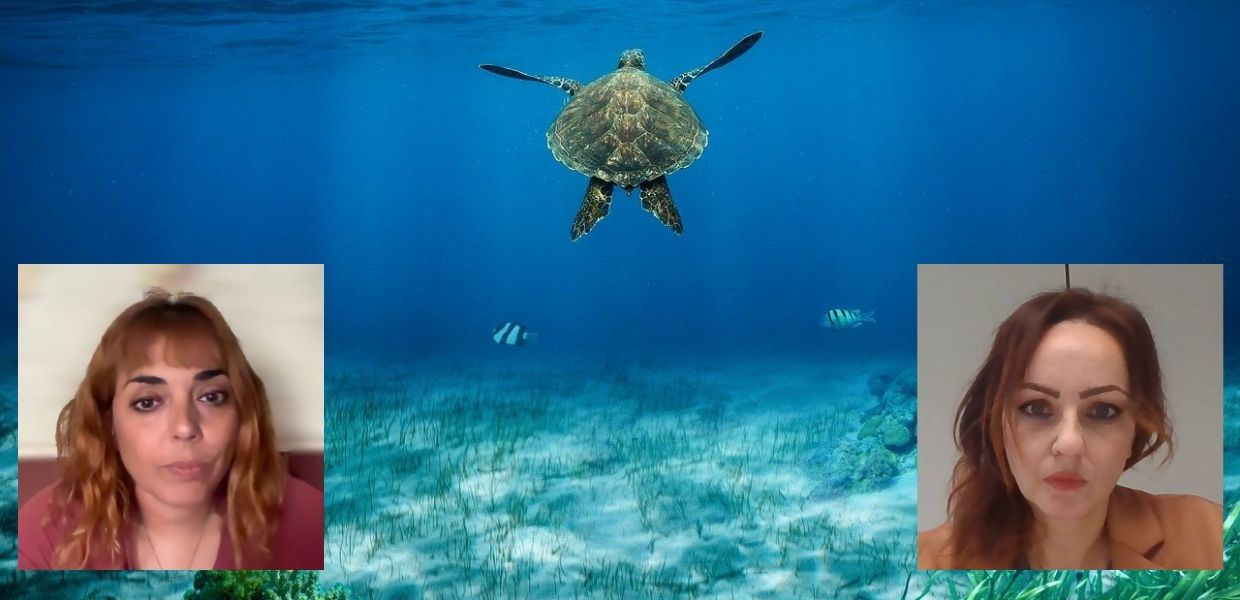 Mari e oceani, alla scoperta del pianeta Blu