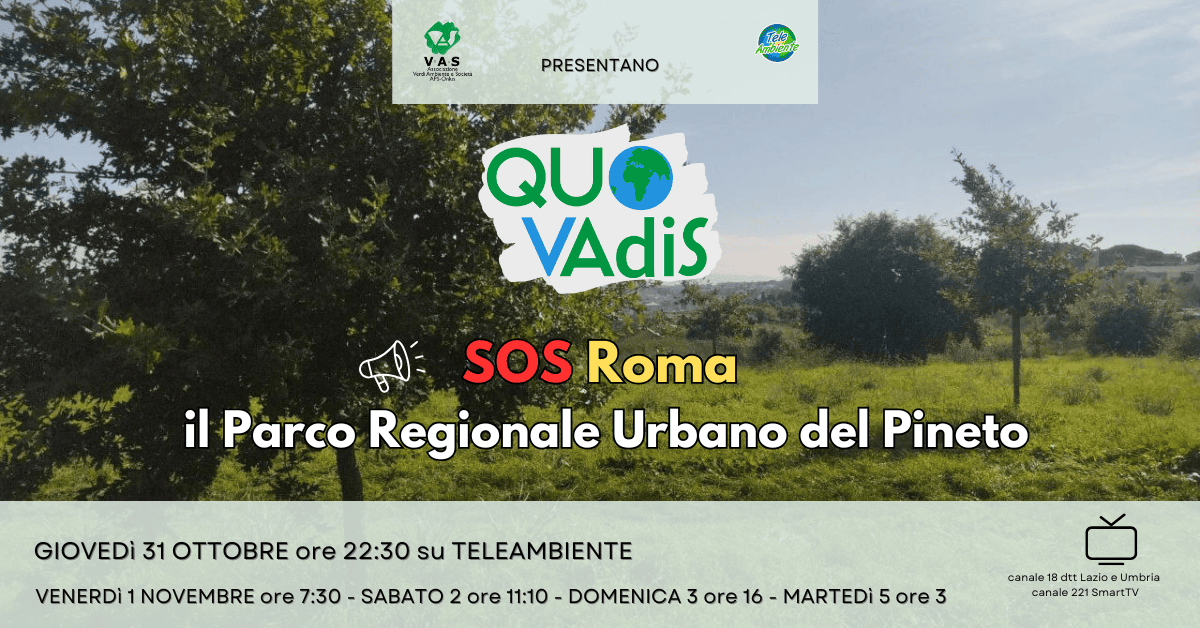 Quo Vadis puntata dedicata al parco regionale urbano del pineto