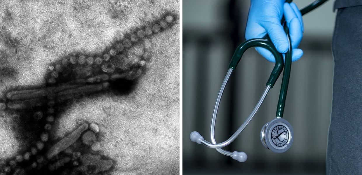 USA, primo possibile focolaio umano di influenza aviaria