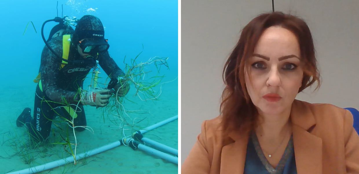 Tyrrhenian Link, cosa è e come tutela la biodiversità del pianeta Blu