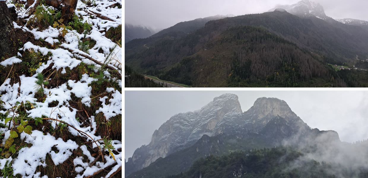 vaia bostrico rimboschimento col di lana rete clima pefc italia