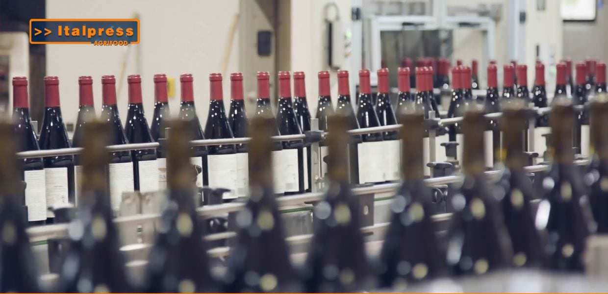 Bottiglie di vino in fase di produzione, evidenziando il settore agroalimentare e l'impatto dei cambiamenti climatici sull'export.