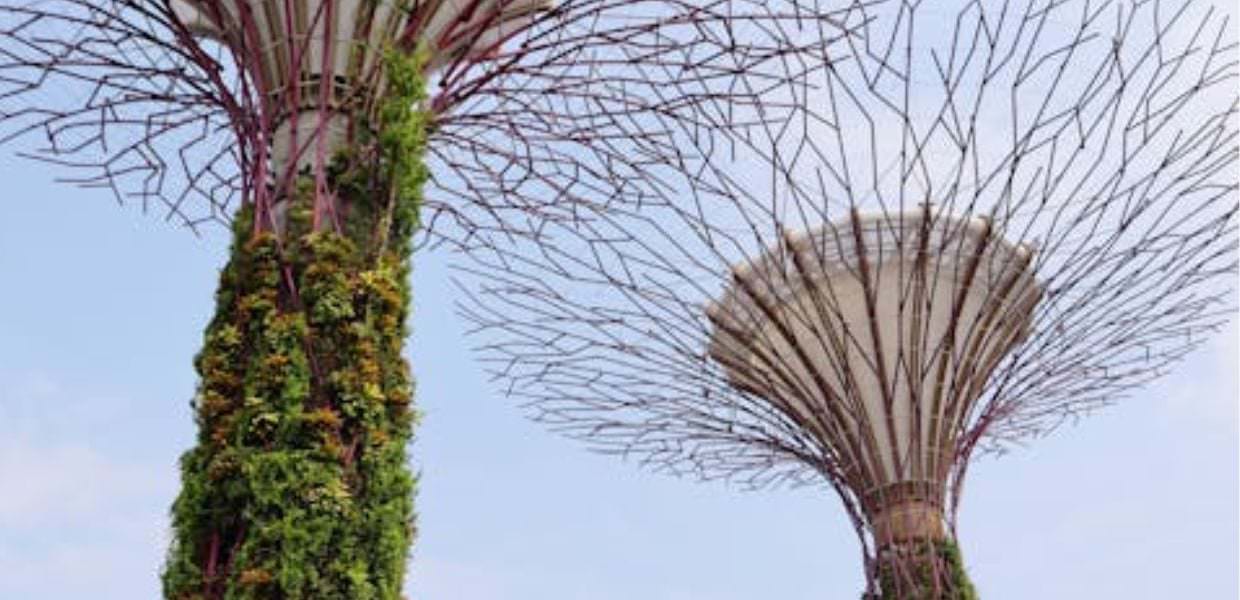 Bioarchitettura, torna il Master sull'edilizia sostenibile