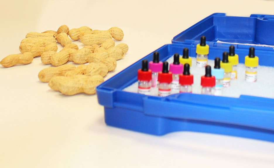 Valigetta per allergeni con flaconi colorati e arachidi, simbolo di un trattamento efficace per bambini con allergie alimentari.