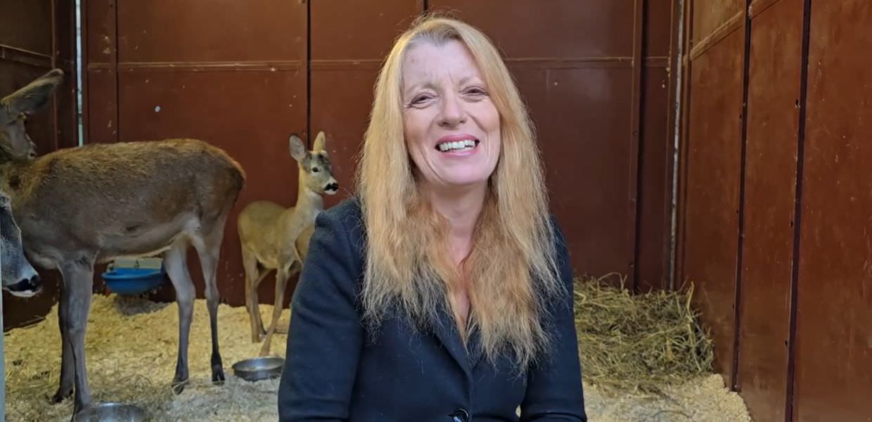 Stop alla caccia ai cervi in Abruzzo, Brambilla: "Una grande vittoria"