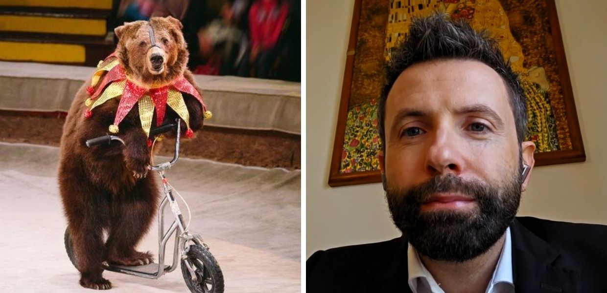 Circhi con animali, ecco perché sono diseducativi per i bambini