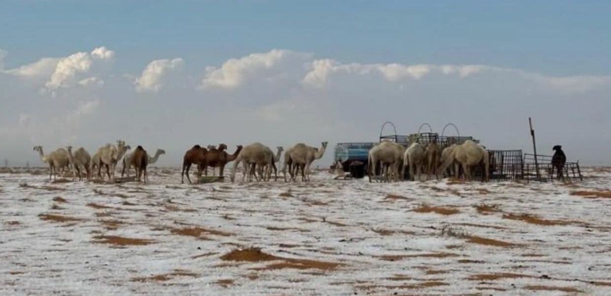 Crisi climatica, storica nevicata nel deserto dell'Arabia Saudita | VIDEO