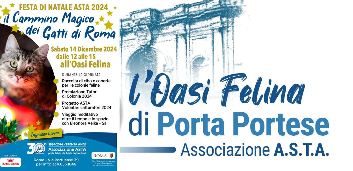 asta roma festa di natale