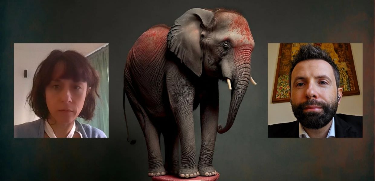 Circo in Italia: quando finisce l'orrore?