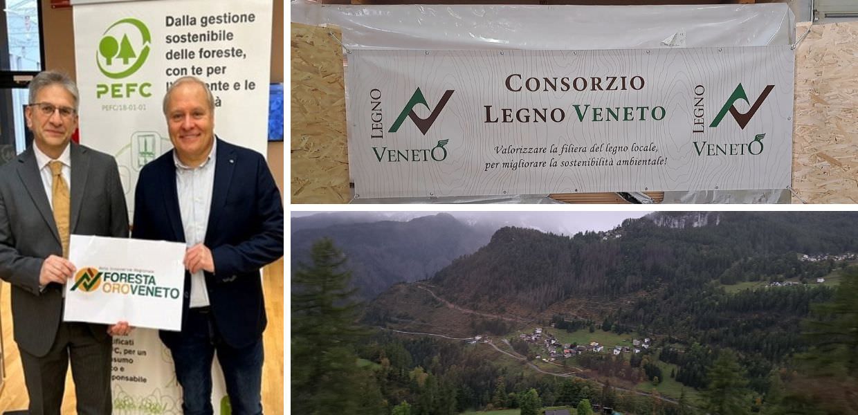 consorzio legno veneto piero balanza legno sostenibile magazine