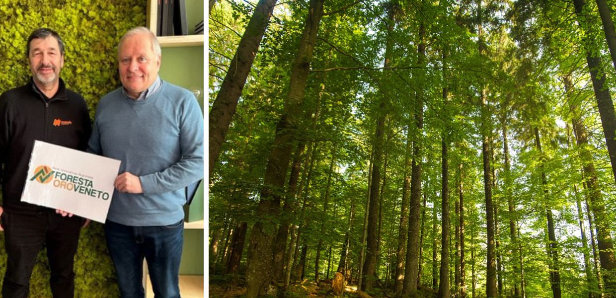consorzio legno veneto