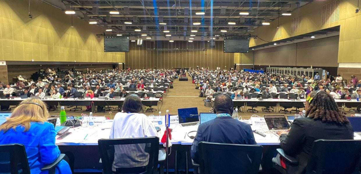 COP16, ecco perché è stata un mezzo fallimento