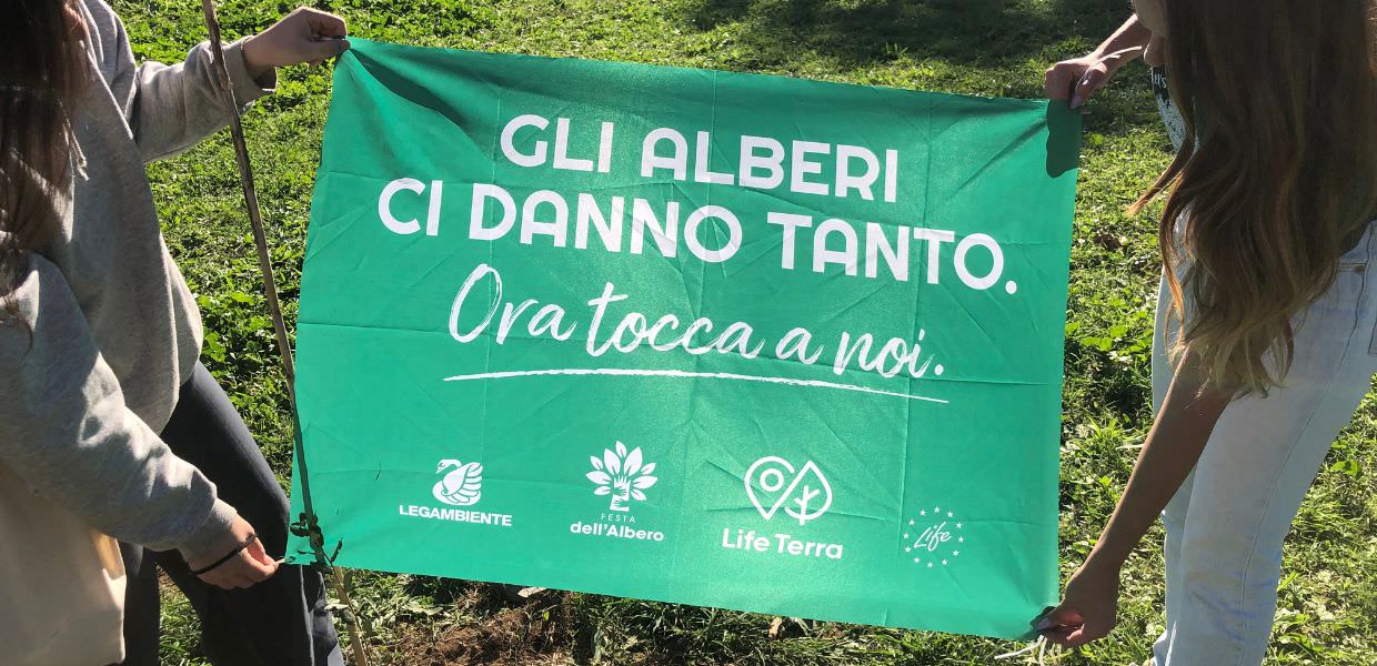 Giornata nazionale degli alberi, ecco perché tutelarli