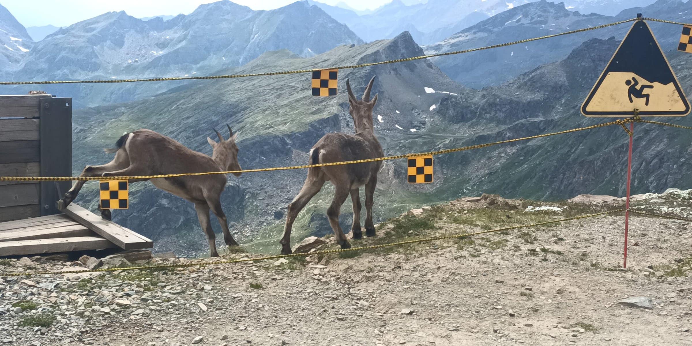 Ospite del Magazine di Teleambiente è il ricercatore del CNR-INM, Angelo Odetti: "Ecco come funziona il nostro robot". 
