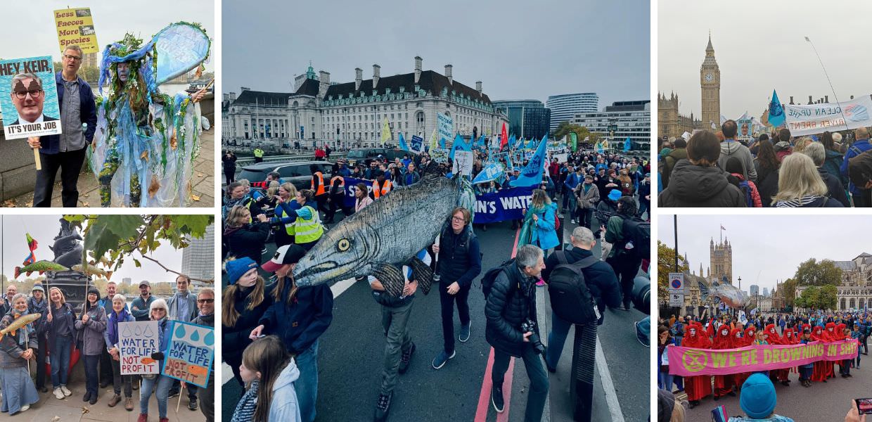 londra marcia acqua pulita
