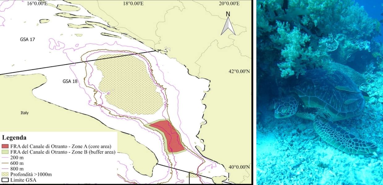 Mare, istituita la più grande riserva protetta dell'Adriatico
