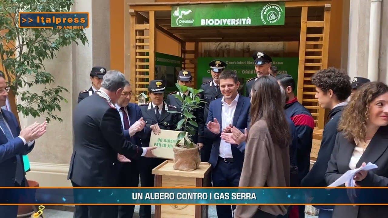 Cerimonia di piantumazione di un albero per combattere i gas serra, coinvolgendo la comunità e le scuole in un ecosistema urbano sostenibile.