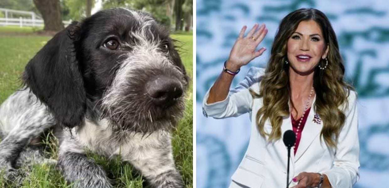 Kristi Noem uccise il suo cane. Donald Trump le affida la Sicurezza degli USA