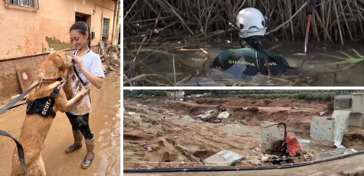 valencia alluvione morti dispersi