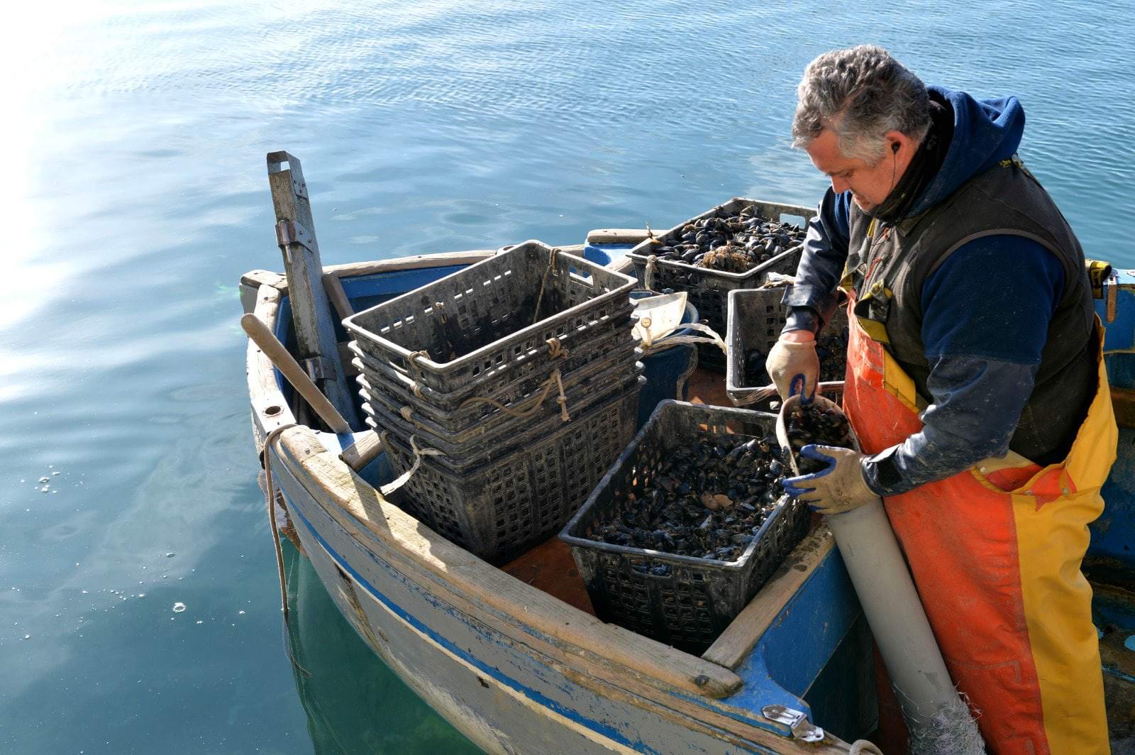 Mitili, adesso è possibile riciclare le retine da allevamento delle cozze