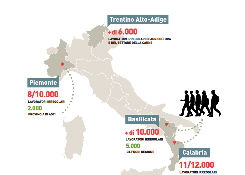 VII Rapporto Agromafie, 30% di lavoro nei campi è irregolare