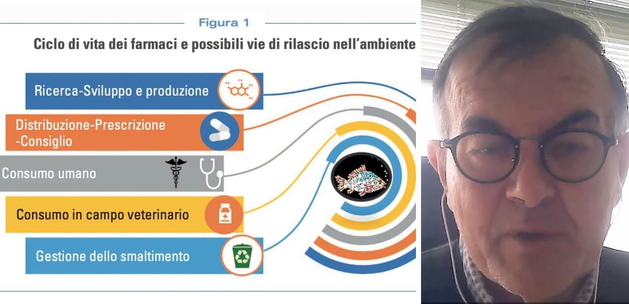 L’impatto ambientale dei farmaci sugli ecosistemi e sulla nostra salute