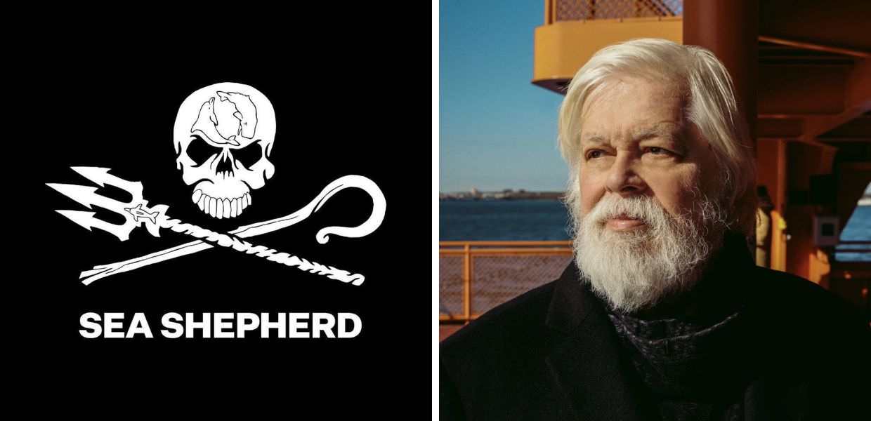 Paul Watson è libero e non sarà estradato in Giappone