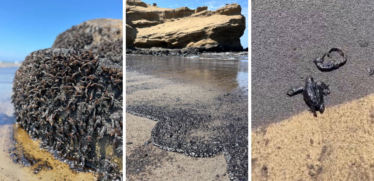 Petrolio fuoriesce da una raffineria in Perù e invade le spiagge di Lobitos