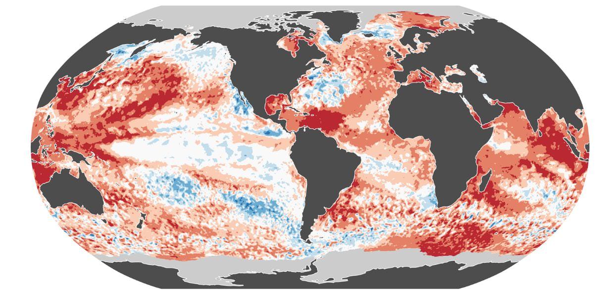 Riscaldamento globale, Copernicus Il 2024 è ufficialmente l'anno più caldo di sempre