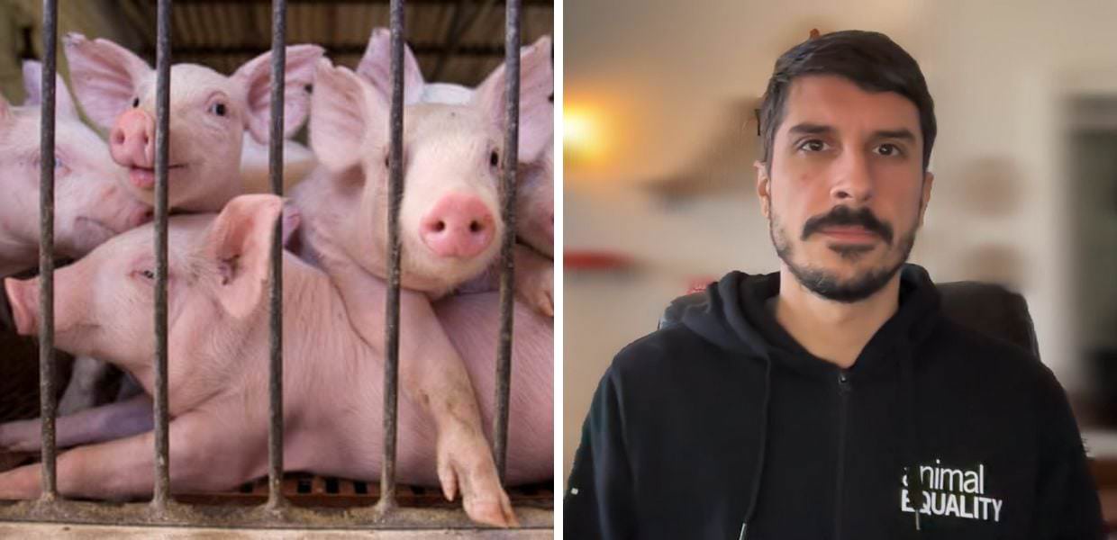 Animal Equality, arriva l'evento per i diritti degli animali