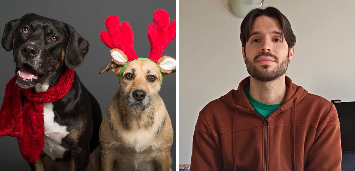 Animali e feste, ecco i consigli del veterinario