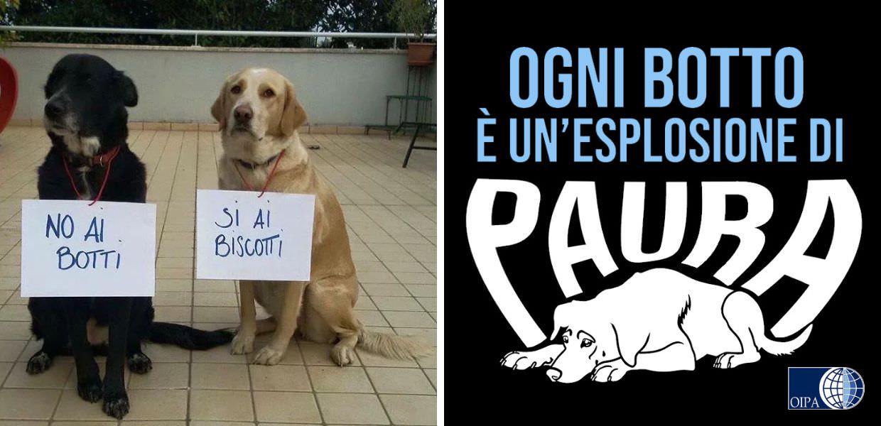 capodanno animali botti decalogo oipa