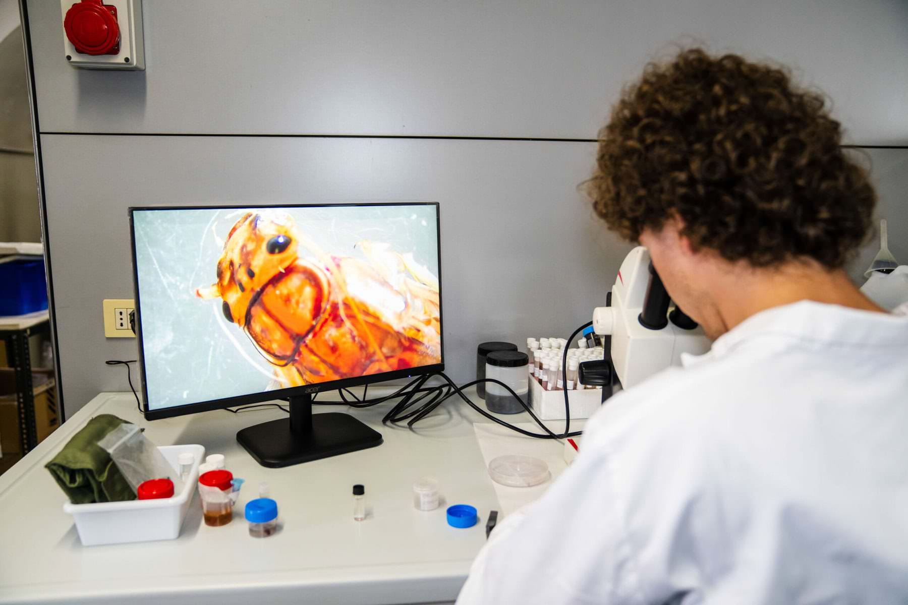 mesohabsim fiumi italia marco merola 3 scaled