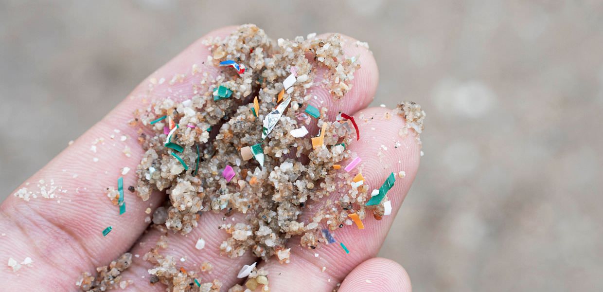 microplastiche organi malattie