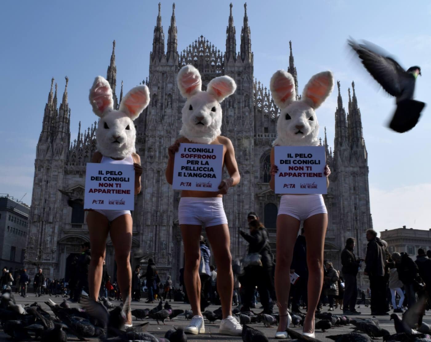 moda cruelty free peta fashion awards 2014