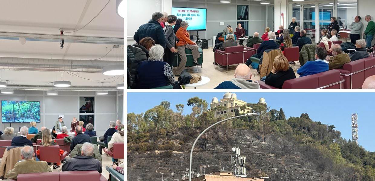 monte mario incendio sabrina alfonsi rigenerazione