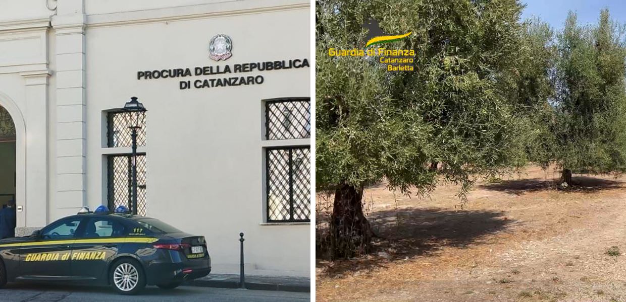 olio falso evo bio truffa